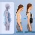 Back Brace And Posture Corrector For Women And Men Relieves Pain, Supports Upper & Lower Back, Breathable Material